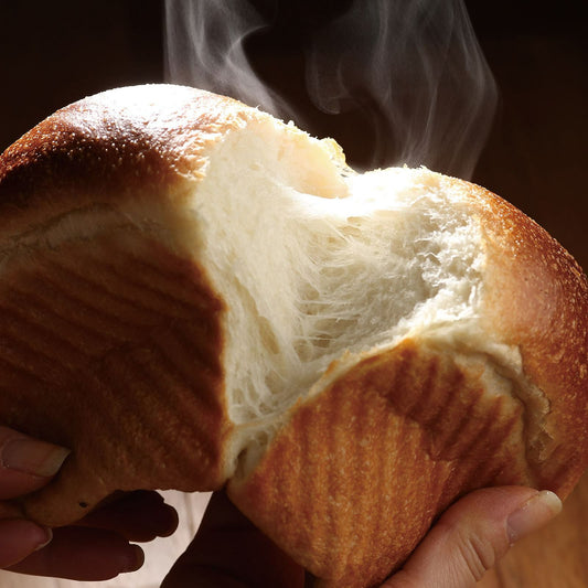 プレーンとぶどう食パン2本組