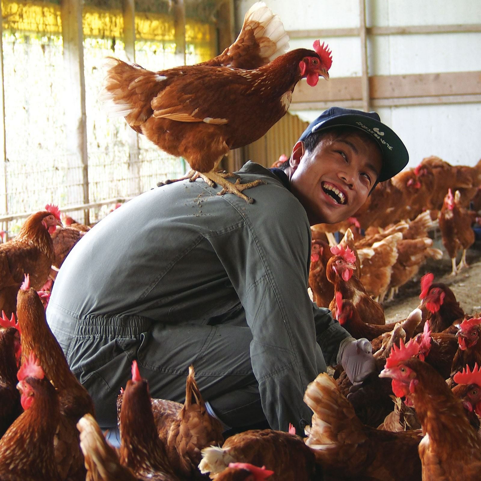 天美卵エコパック詰め20個 – 大江ノ郷自然牧場e-GIFTSHOP