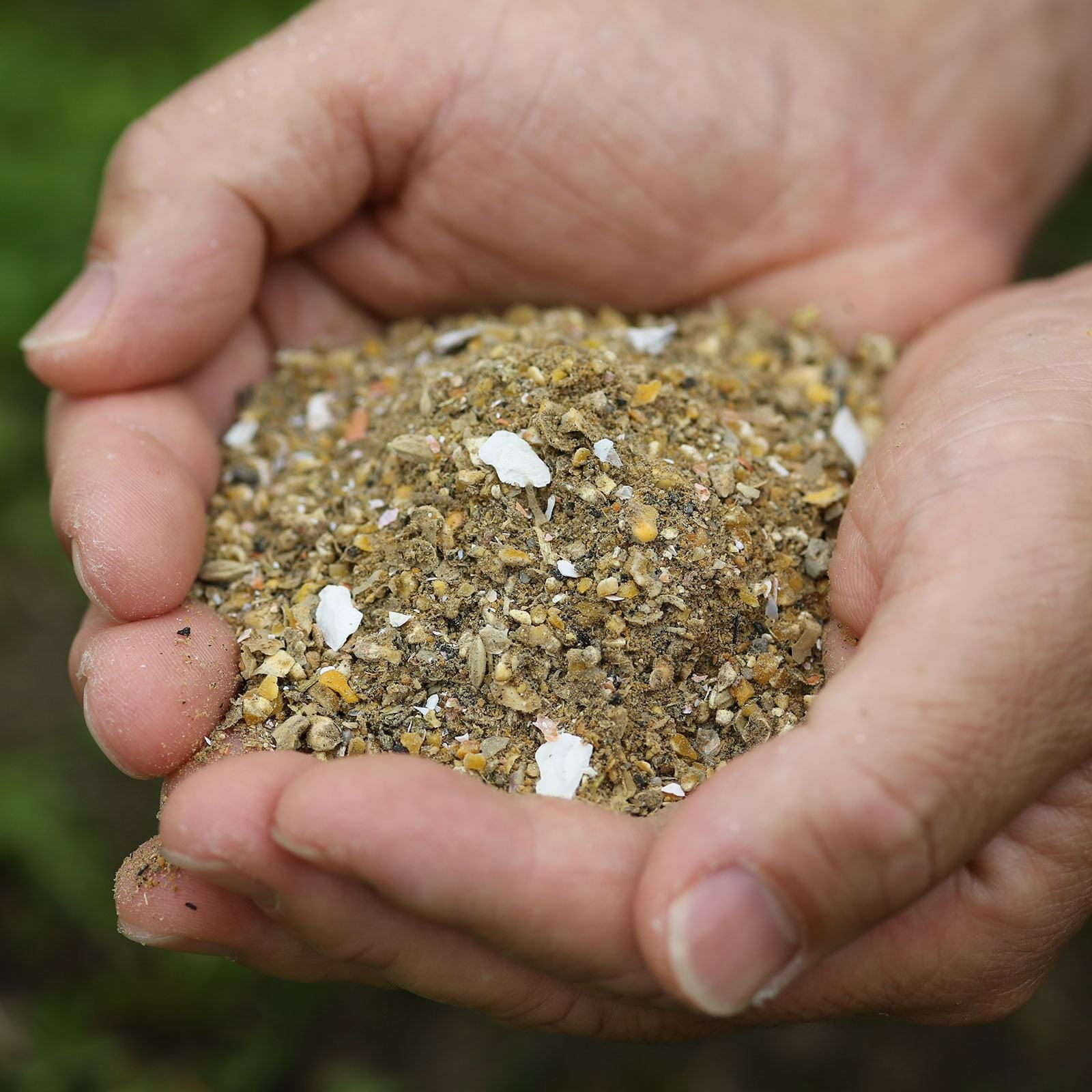 eギフトグルメ】天美卵エコパック詰め10個【内祝】ソーシャルギフト